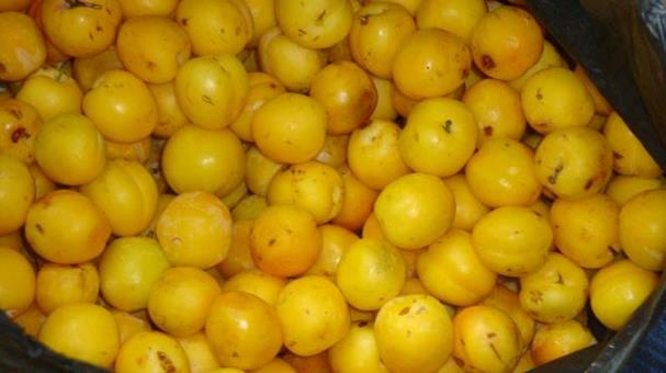 Описание: DSC02660